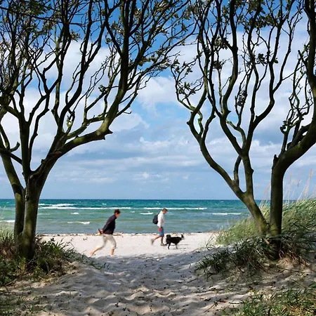 Haus Sonnenschein Sommerwiese Lejlighed Poel